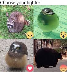 Fastest way to caption a meme. Dopl3r Com Memes Choose Your Fighter