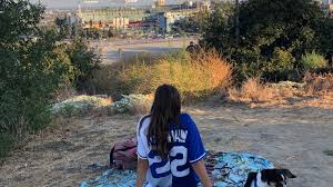 The dodgers compete in professional major league baseball as a member of the national league west division. Mlb Fans Outside Dodger Stadium Feel The Energy From A Distance
