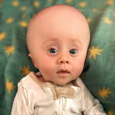 Obituary for Noah M. Kramer