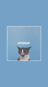 Uhd ultra hd wallpaper for desktop, iphone, pc, laptop, computer, android phone, smartphone, imac, macbook, tablet, mobile device. Pinterest Peachylols Peachylols Pinterest Wallpaper Iphone Wallpaper Disney Seni Kucing