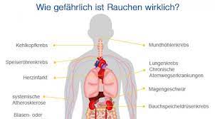 Die aufgabe der roten blutkörperchen (erythrozyten) ist es, den sauerstoff zu den zellen zu transportieren. Diese Folgeerkrankungen Konnen Auf Das Rauchen Zuruckgefuhrt Werden Wie Gefahrlich Ist Rauchen Wirklich Onetz