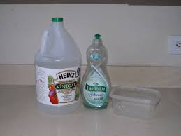 When the flies get bad, i put out a bowl of apple cider vinegar and pour some dish soap in (it just needs a few drops in it) before i i'd love to hear from you guys on this topic! Pin On Pests