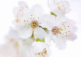 Frasi Sulla Vita In Inglese Le 65 Piu Belle Di Sempre Con Traduzione Belle Idee Tendenze