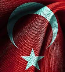 omer balci adli kullanicinin turk panosundaki pin bayrak poster tasarimlari soyut resim tuval