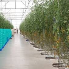 While screening has been a textbook component of ipm programs for. Why Grow Your Crops In A Greenhouse Harnois