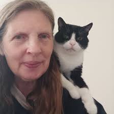 Chicago Lost and Found Pets