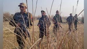 LIVE! 22 Naxals killed in encounter in Chhattisgarh - Rediff.com news
