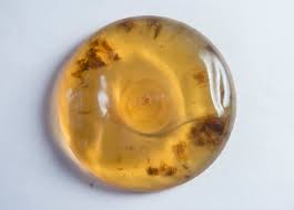 Women who want a very natural look and feel typically choose teardrop breast implants over round implants. Are Breast Implants Making Women Sick The Walrus
