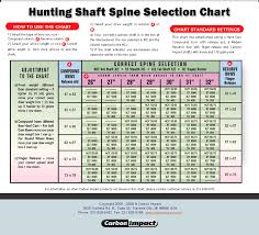 Bow Tuning Tips Com Your Bowhunting And Archery How To