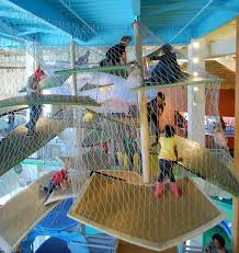 Pin By Ian Coltman On Luckey Climbers Kids Vacation Childrens Museum Spring Break Fun