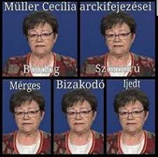 Kijárási tilalom szlovákiában, megbetegedett a lengyel államfő. Levi Szazlevente10 Profil Pinterest