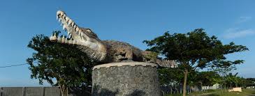 Taman buaya asam kumbang merupakan taman penangkaran reptil buaya terbesar di indonesia. Wisata Edukatif Ke Taman Buaya Tanjung Pasir Pesona Banten