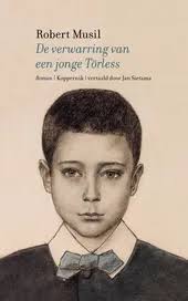 De verwarring van een jonge Törless : roman