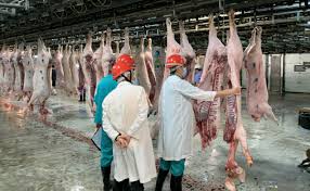 今日活豬供應及拍賣價／明日活豬預計供應 · 過去12個月按月每日平均活豬供應及拍賣價 · 本月每日活豬供應及拍賣價. å± æˆ¿å·¥ä½œ Rachelay