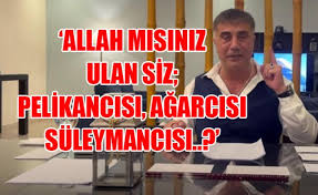Türk aşırı sağcı ülkücüler arasında pek çok destekçisi bulunmaktadır. Inciscd Skalpm