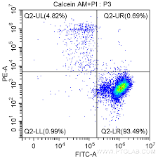 We did not find results for: Viability Cytotoxicity Assay Kit For Animal Live Dead Cells Calcein Am Pi Method Pf00007 Proteintech
