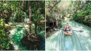 High quality glass bottom kayak available at best price. Florida Clear Kayak Tour Near Orlando Takes You Through An Amazon Oasis Narcity