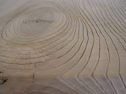 Google Image Result For Http 3 Bp Blogspot Com Jnem2a6smm8 Ths3zcb Zi Aaaaaaaaagc Hsnqrw6 X9k S1600 Dsc06435 Jpg Sandblasted Wood Sandblasted Wood Resin