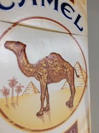 Cutting open a camel crush cigarette to see what releases the minty taste. Camel U S Cigarette Pack Weirder Signals