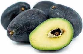 sir prize avocados information recipes and facts