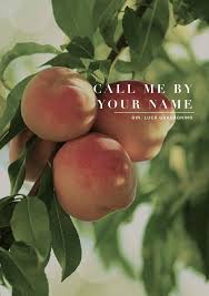 Call Me By Your Name Movie Poster 27x40 Call Me By Your Name 2017 Call Me 80s Aesthetic Names