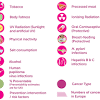 The prostate is a gland in the male reproductive system that surrounds the urethra just below the bladder. 1