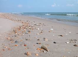 10 Reasons To Visit The Outer Banks This Summer North Carolina Beaches Outer Banks North Carolina Nc Beaches