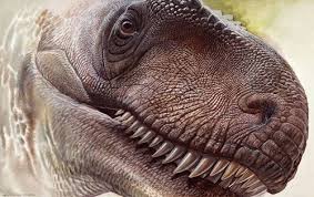 Of gewoon in quarantaine gaan? Scientific Illustration Theropod Illustration Of Prehistoric Animals Prehistoric Creatures Dinosaur