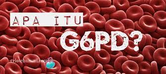 It is based on the sixth edition of the publication manual of the american psychological association (apa publication manual). Apa Itu G6pd Celoteh Ummi