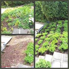 32 Genial Steinfiguren Garten Elfen Check More At Https Www Opticrhythm Com Steinfiguren Garten Elfen Garten Landschaftsbau Landschaftsbau Gartengestaltung