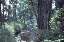 Herausgekommen ist ein spannender artikel mit beeindruckenden bildern! Rehbach Rhein Wikipedia