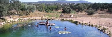 Pin By Liam Namib On Helsinki Har Natural Swimming Pools Natural Swimming Ponds Swimming Pool Designs