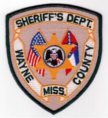 Wayne County Sheriff Ms Police Patches Military Patch Local Police