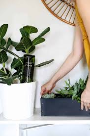 You will learn how to make a grow automatic system the incredible self watering pop bottle garden,irrigation is performed by. 5 Self Watering Planter Hacks You Have To Try Hello Glow