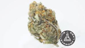 There's probably no simpler recipe than ⭐ marijuana cookies ⭐, which you can use for a fun afternoon or, why not, start on a saturday or sunday. Bulletproof Labs On Twitter Hotoffthebench Strain Forum Cookies Labtest Legalizeit Cannabisclubtv Testbulletproof Cannabis Weed Marijuana Mmj Https T Co Uuyst6jw8x