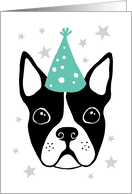 Make a delightful birthday card for your boston terrier loving friend. Boston Terrier Birthday Cards From Greeting Card Universe
