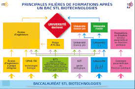 Ce sont souvent des métiers de. Http Blog Ac Versailles Fr Biotechnolvc Index Php Pages Que Faire Apr C3 A8s Un Bac Stl