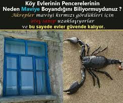 Nese Nin Gozdeleri Bilgi Biliyor Muydunuz Ilginc Gercekler