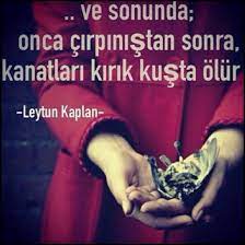 ve sonunda onca cirpinistan sonra kanatlari kirik kus da olur karma love couple love