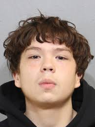 CARRILLO, LAWRENCE 19 WHITE M CHARGES: 720 ILCS 5.0/24-1.6-A-1 AGG  UPW/VEHICLE/<21 OFFENSE AS CITED 9-40-200(B) OPERATOR SIGNAL REQUIRED 100FT  OF TURN OFFENSE AS CITED