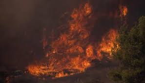 A fire engulfs a house in acton, calif., tuesday, june 1, 2021. Los Angeles Fire Zee News