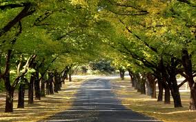 Check spelling or type a new query. Best Pc Hd Wallpapers Group 79