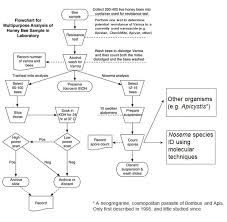 Efficient Sampling 101 Flowcharts And Protocols For Multi