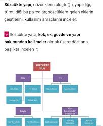 Sozcukte Yapi Ile Ilgili Notlar Yaziniz Eodev Com