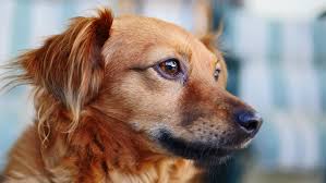 Check spelling or type a new query. Vy4lk1qvrlchum