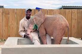 Innocent baby elephant caught in a snare suffers four unbearable days trapped there