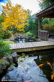 Making of koi fish pond. Preparing Your Pond For Cooler Temperatures Aquascape Inc