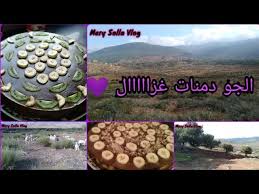 دويرة ف دوارنا ف بلادنا دمنات ❤️ و يومنا كيف داز مع الجو الزوييين 🌹و حلوى  لبنت خالي 💜