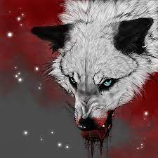 Pin On Wolves Foxes
