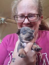 do any others own blue eyed piggies?